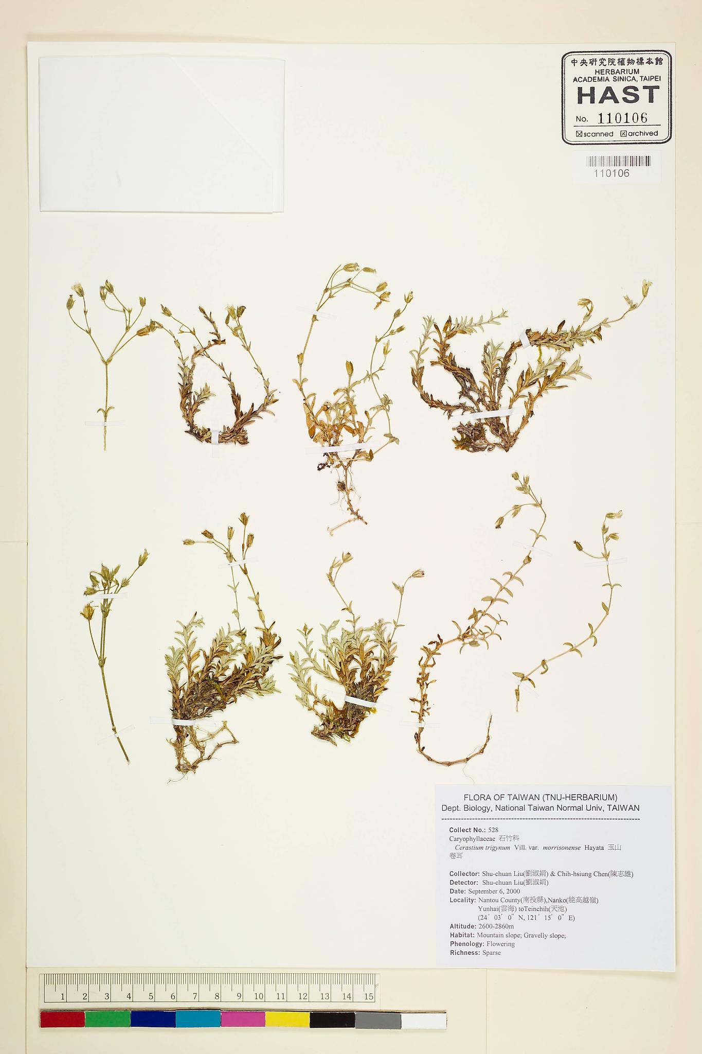 Sample image for viewer