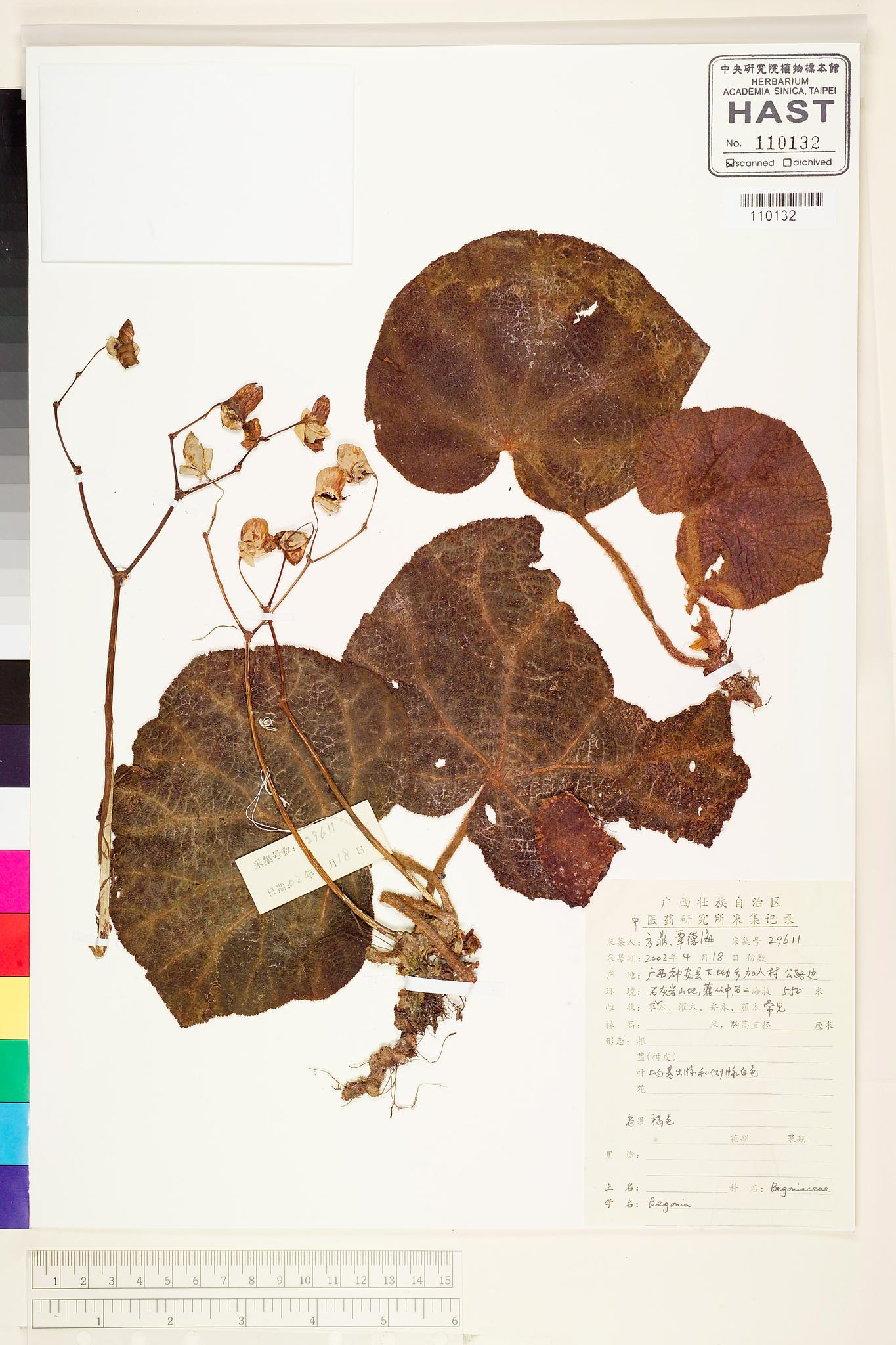 Sample image for viewer