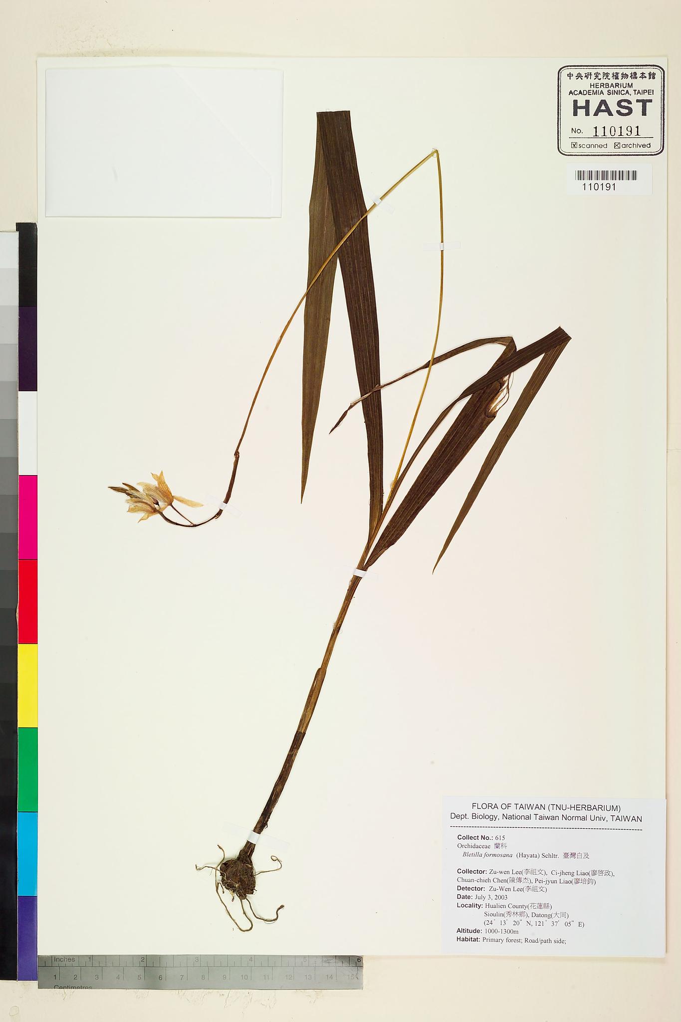 Sample image for viewer