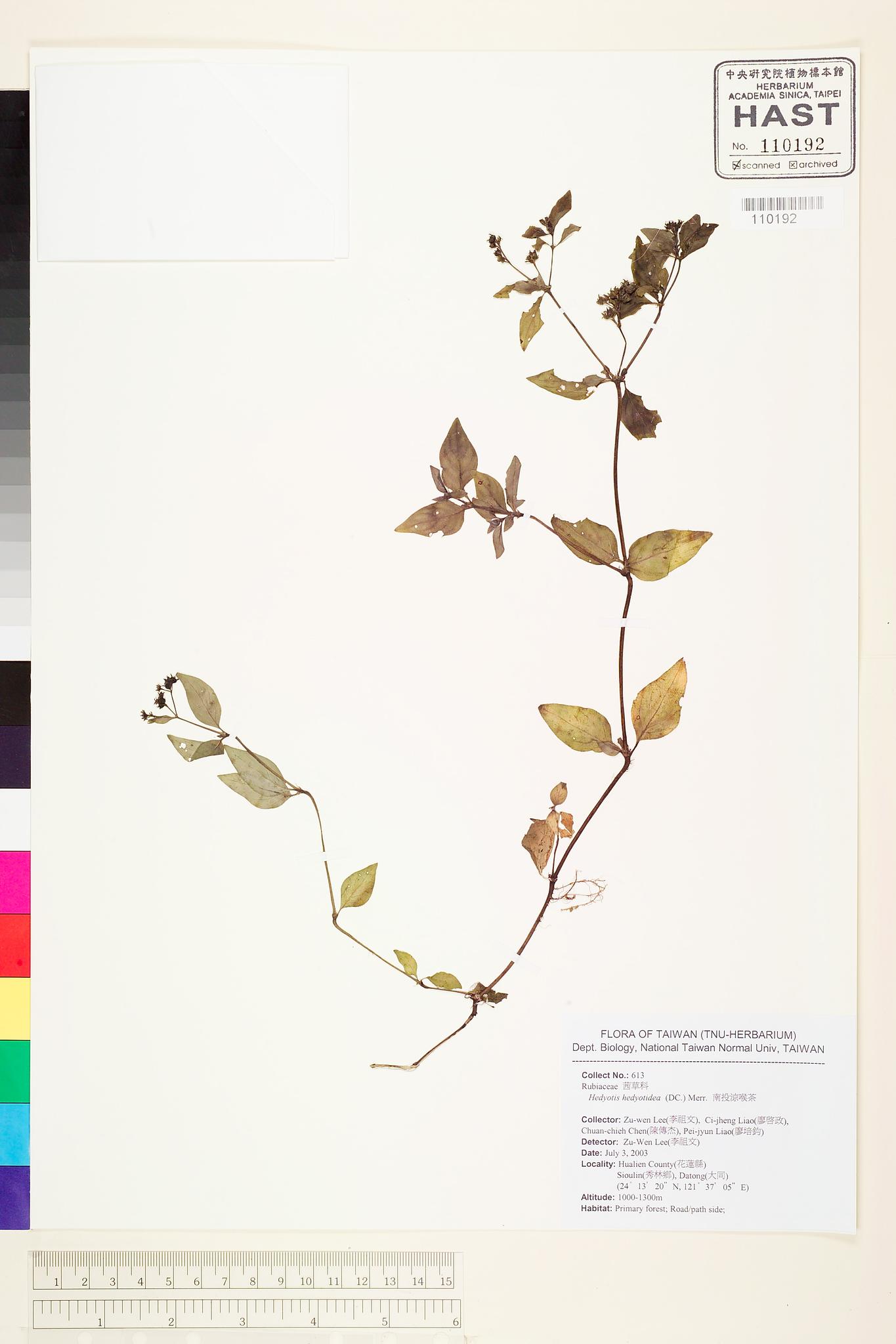 Sample image for viewer