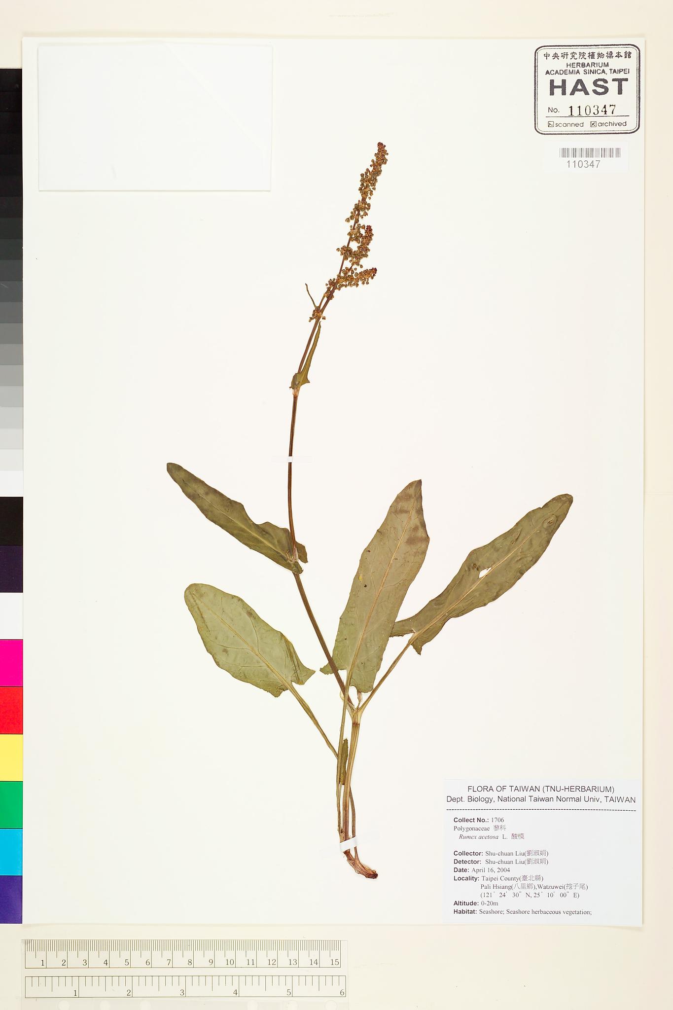 Sample image for viewer