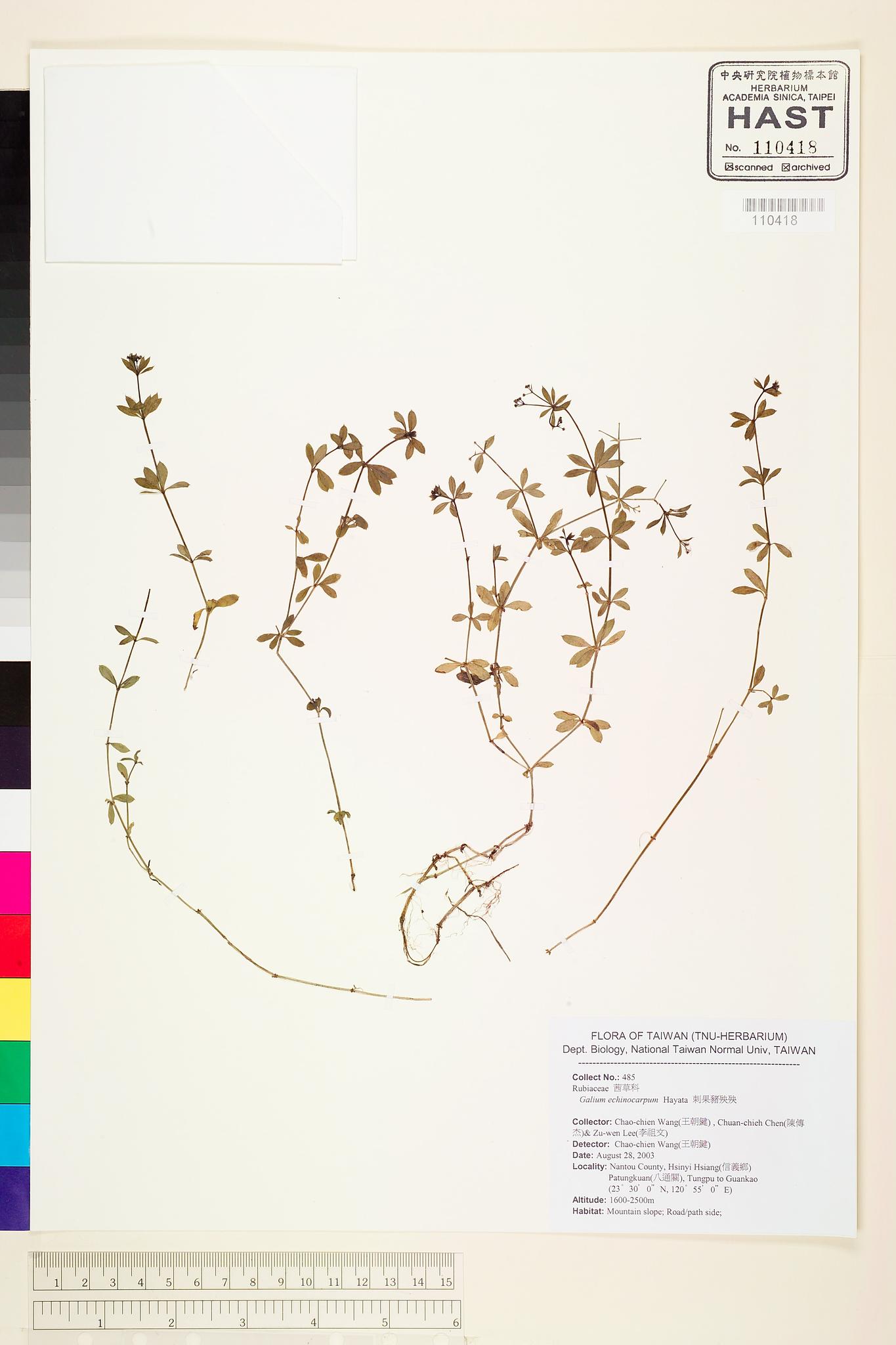 Sample image for viewer