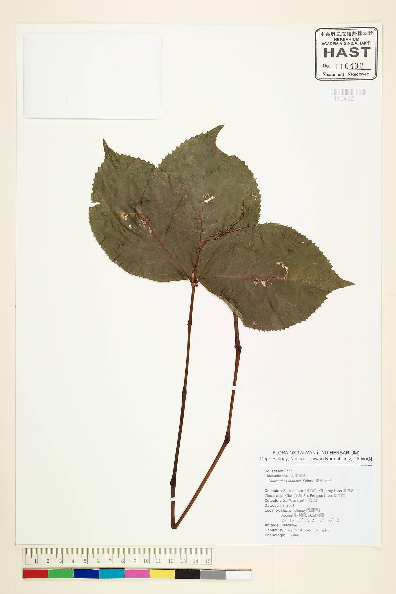 Sample image for viewer