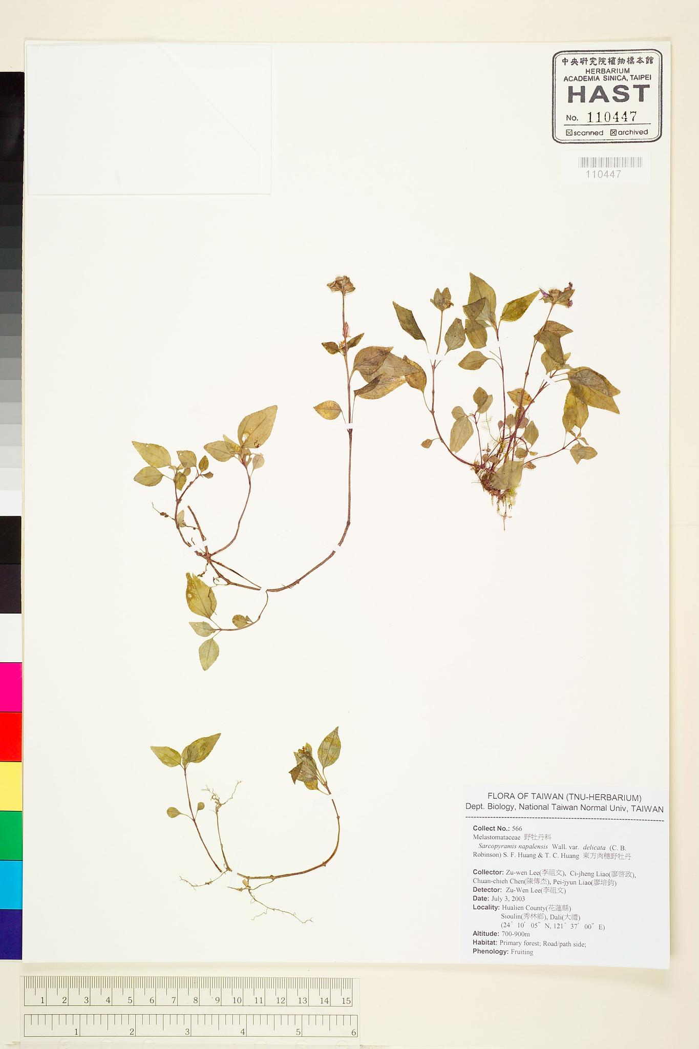 Sample image for viewer