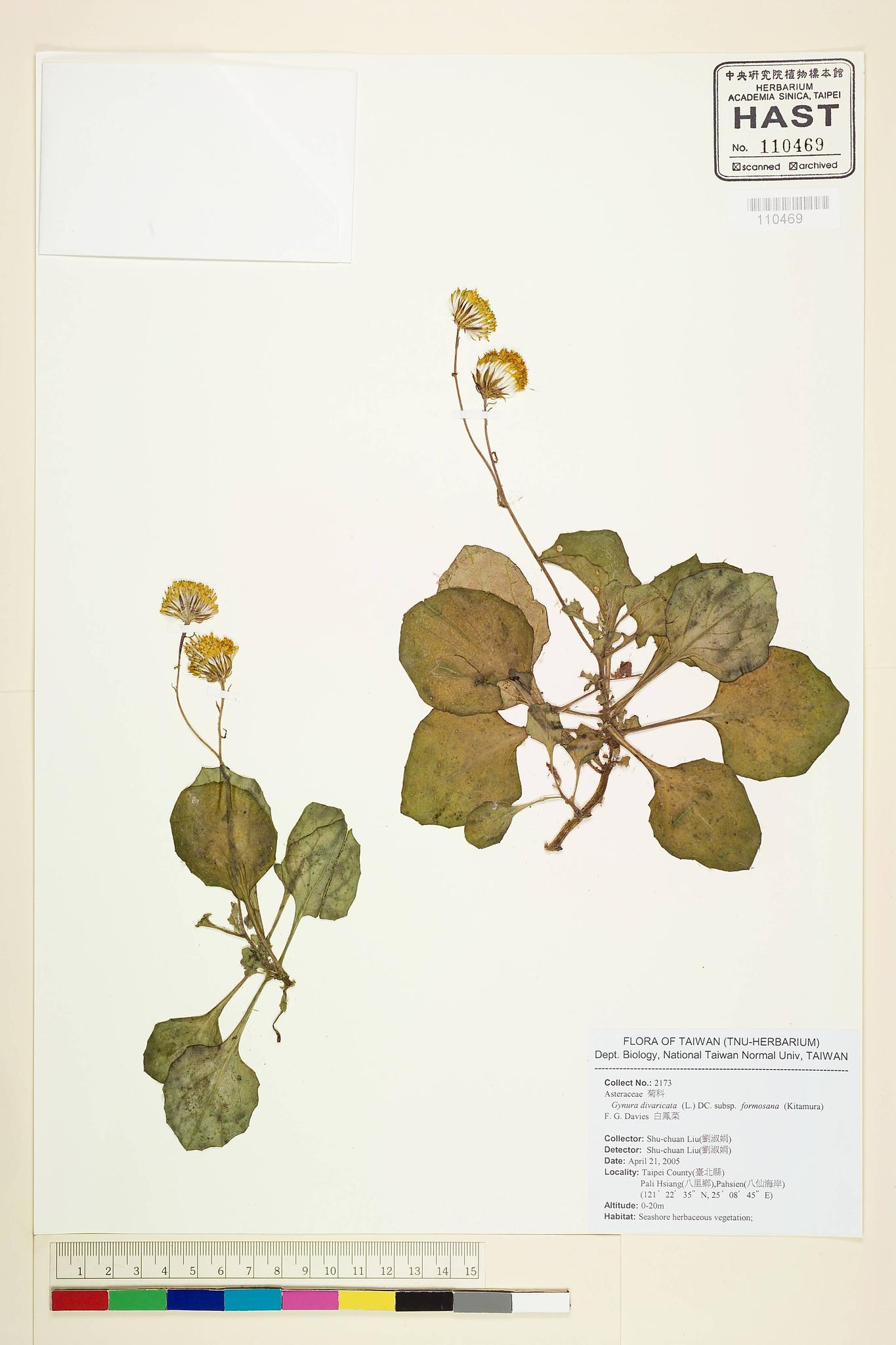 Sample image for viewer