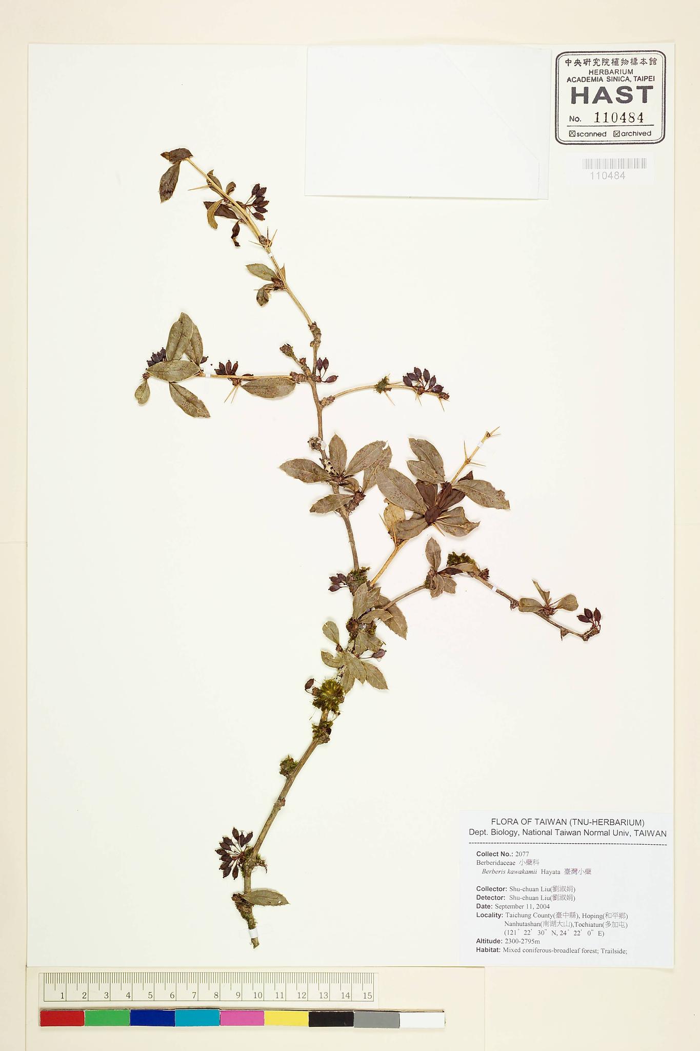 Sample image for viewer