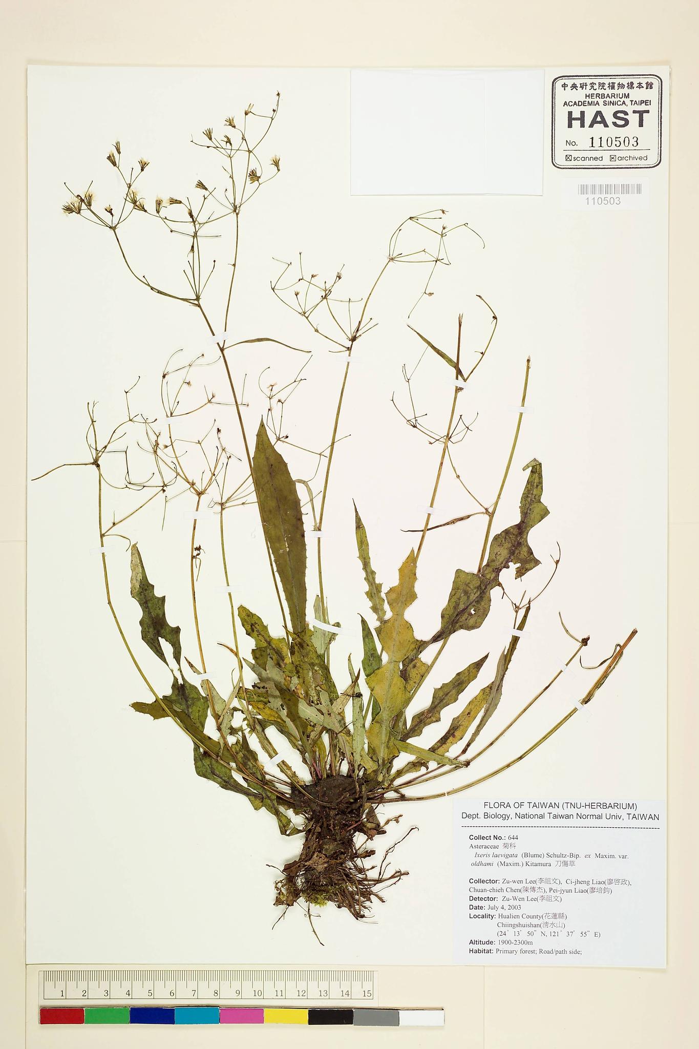 Specimen image