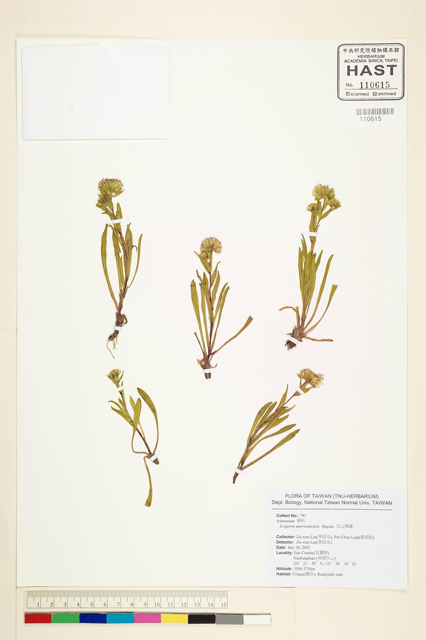 Sample image for viewer