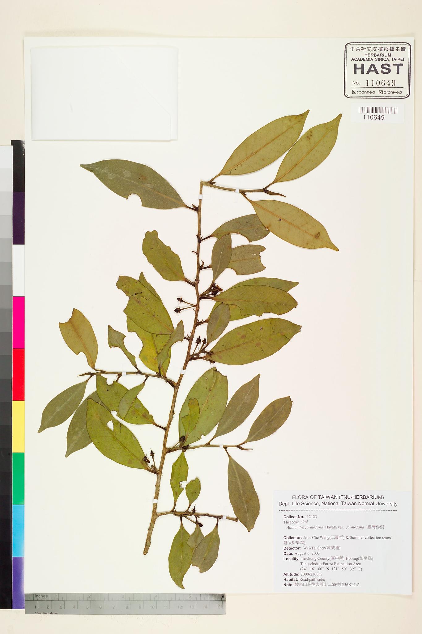 Sample image for viewer