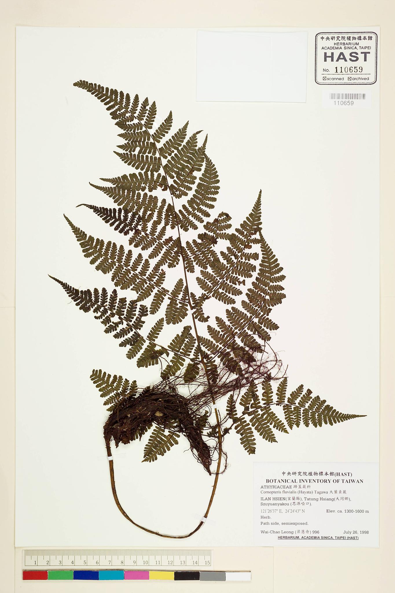 Sample image for viewer