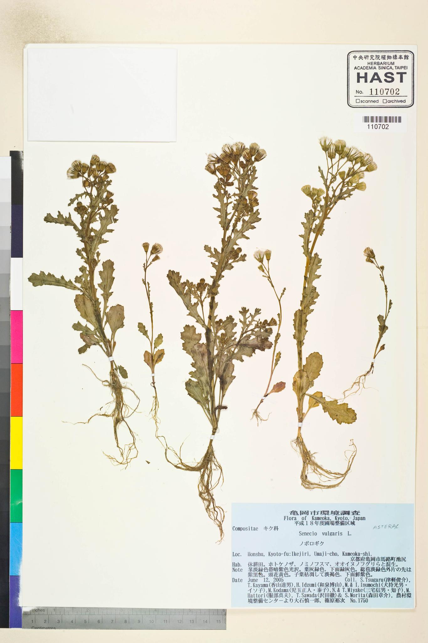 Sample image for viewer