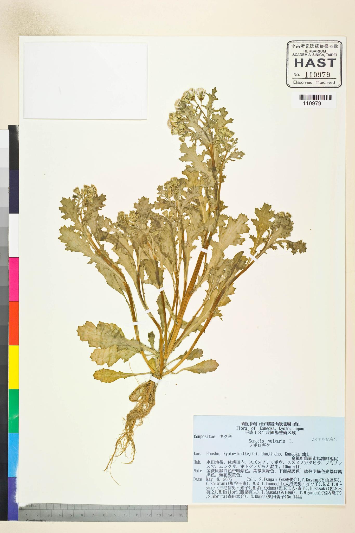 Sample image for viewer