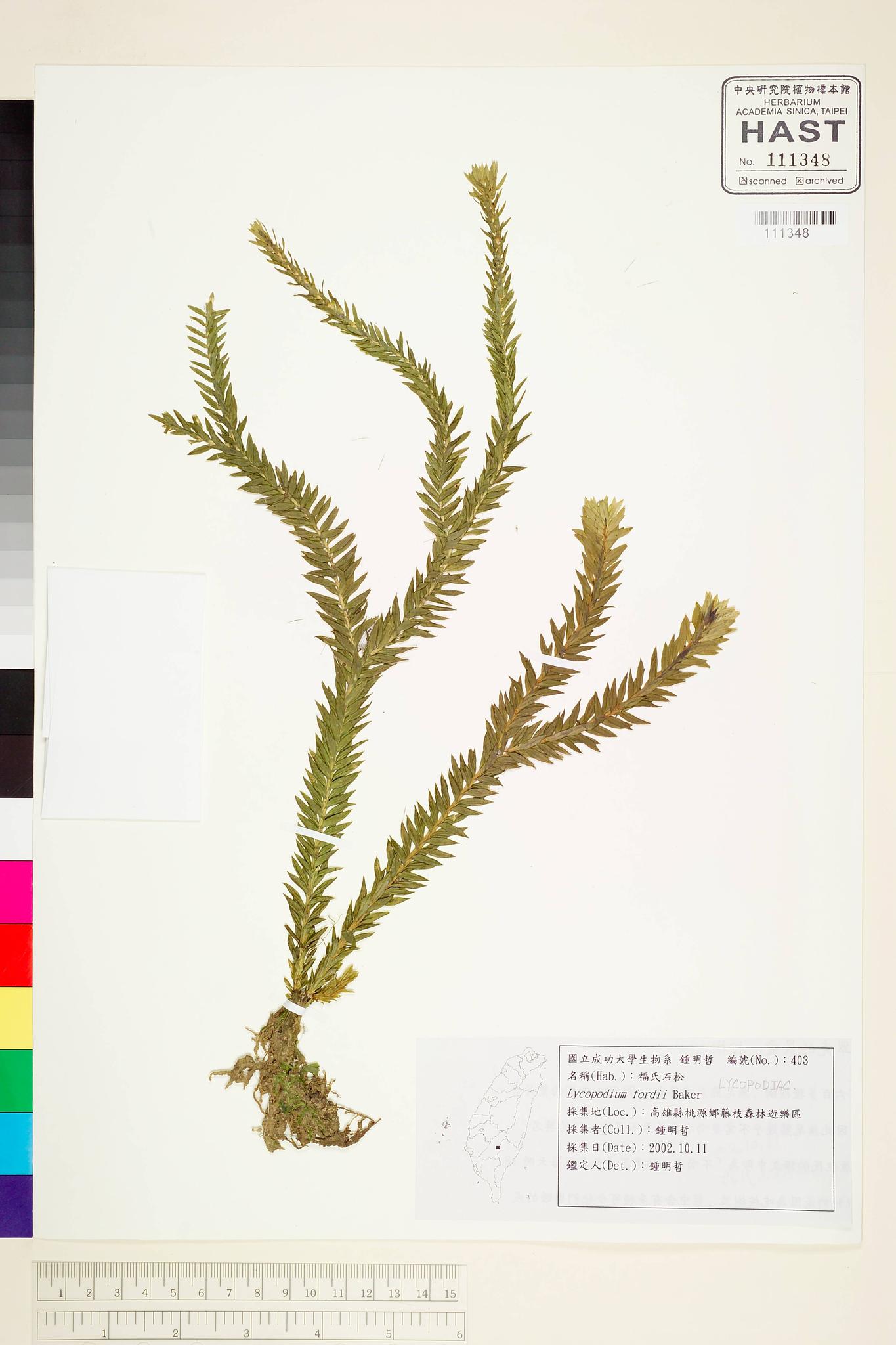 Sample image for viewer