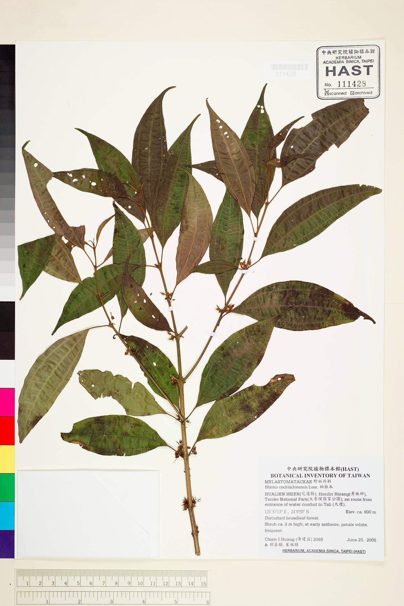 Sample image for viewer