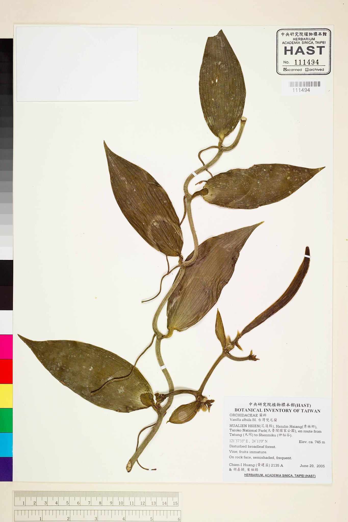 Sample image for viewer