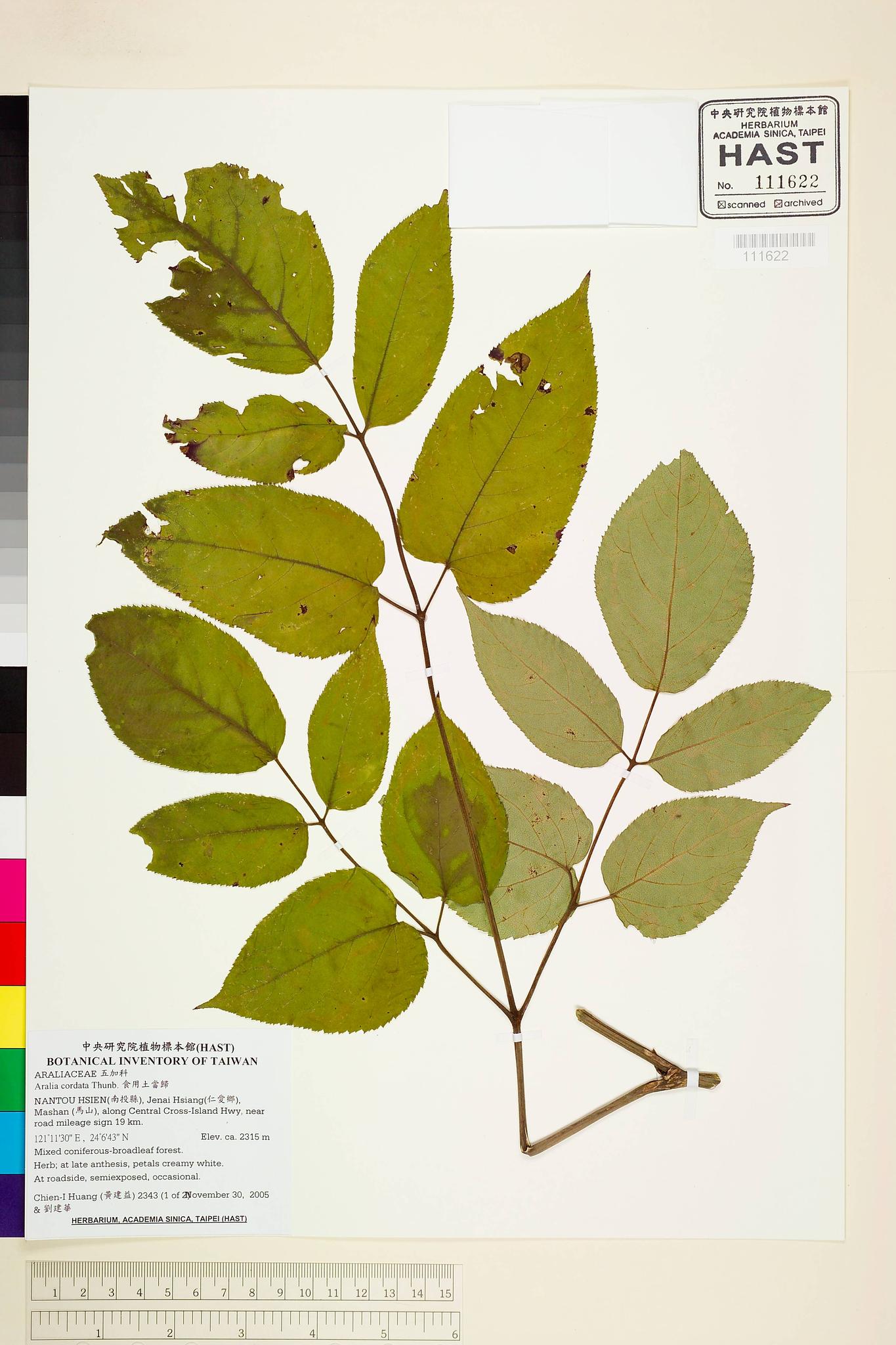 Sample image for viewer