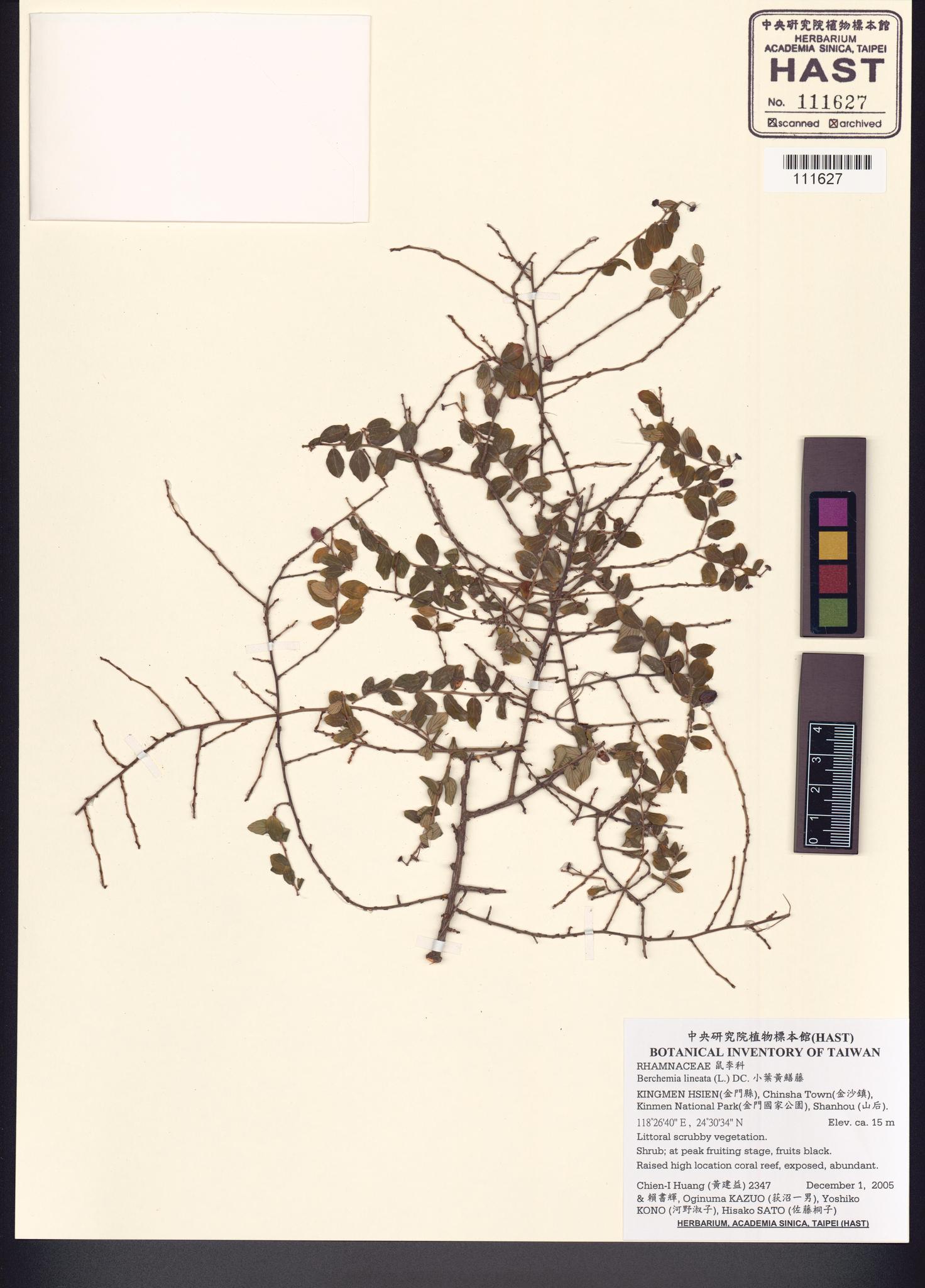 Sample image for viewer