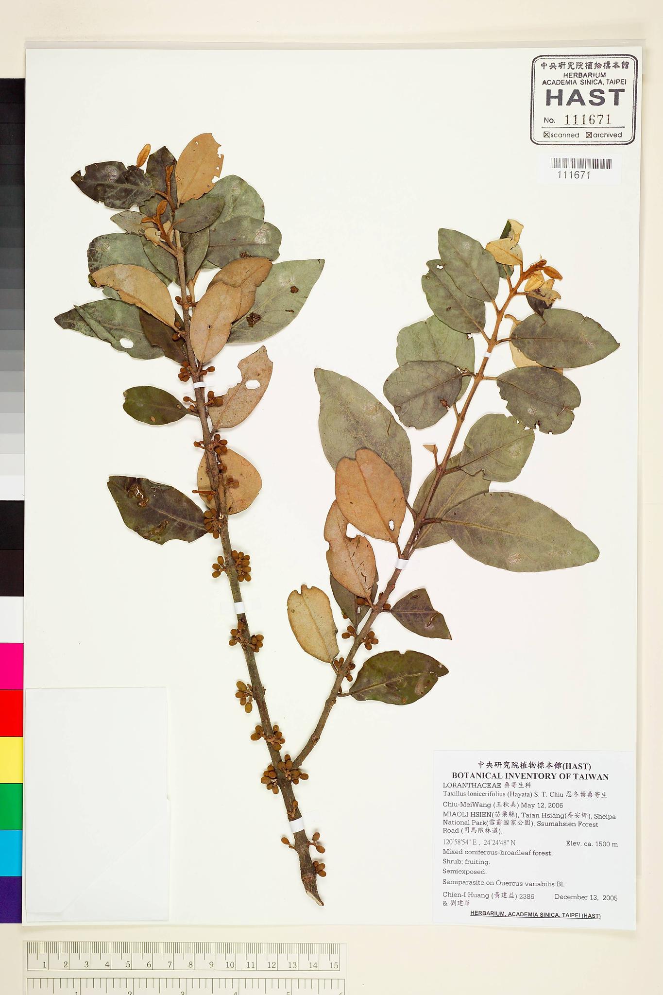 Sample image for viewer