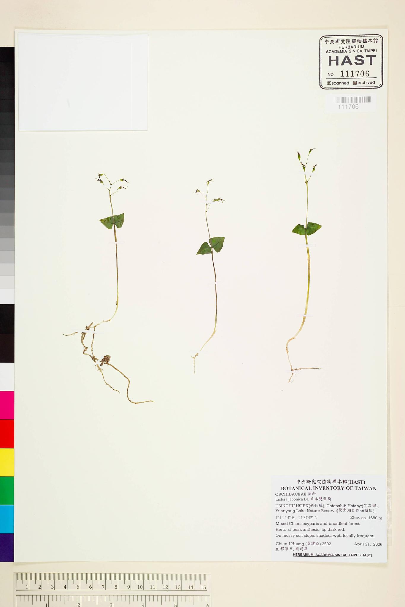 Sample image for viewer