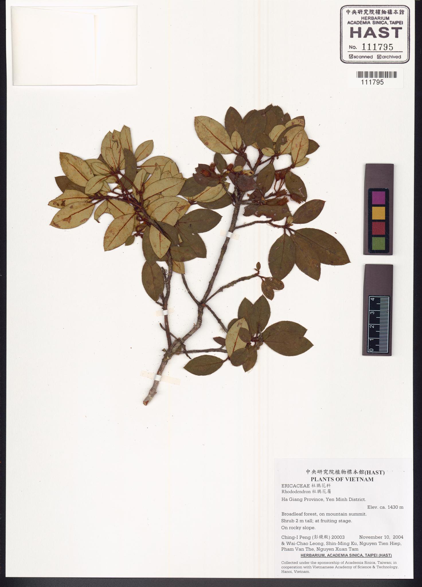 Sample image for viewer