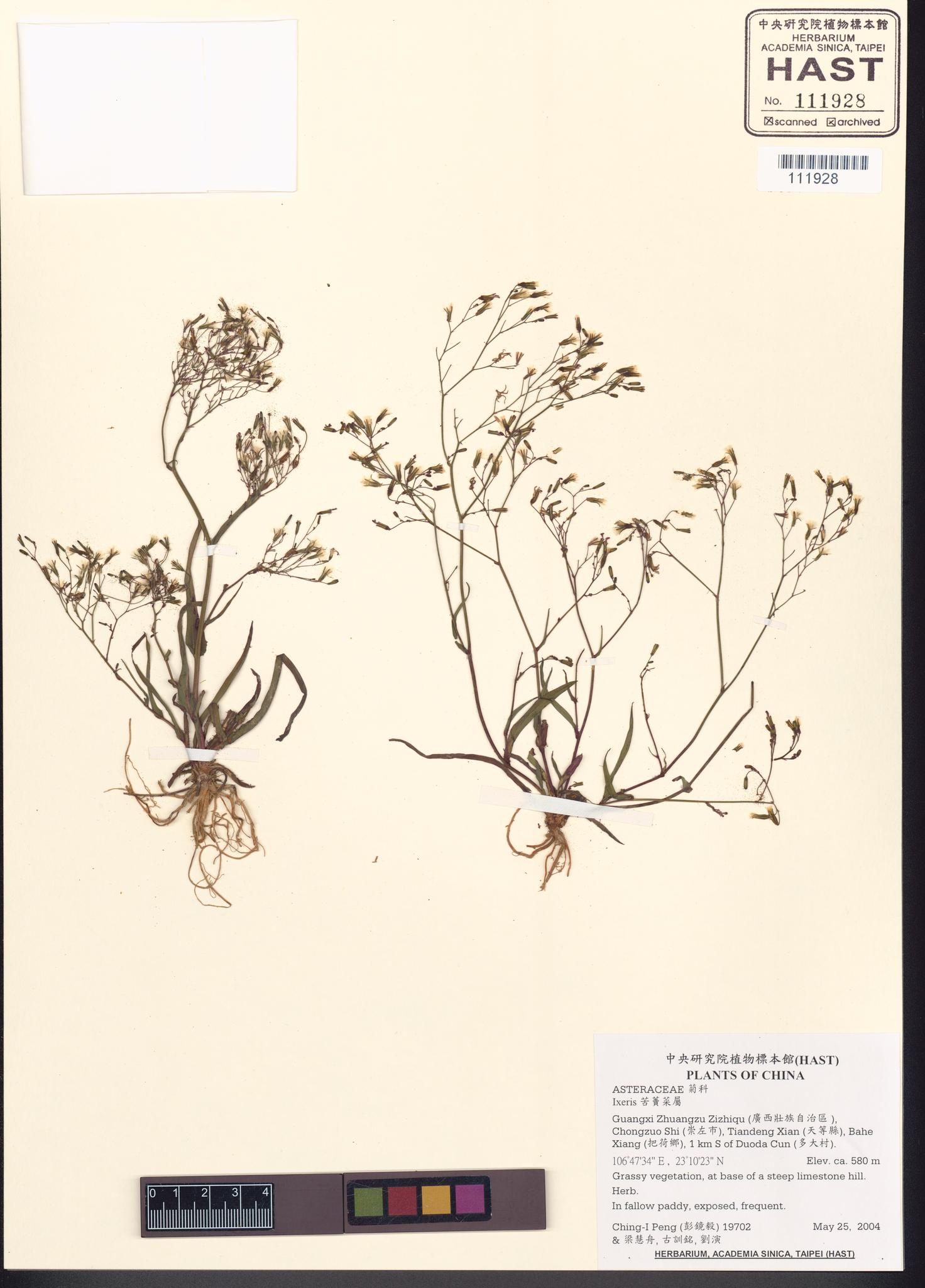 Specimen image