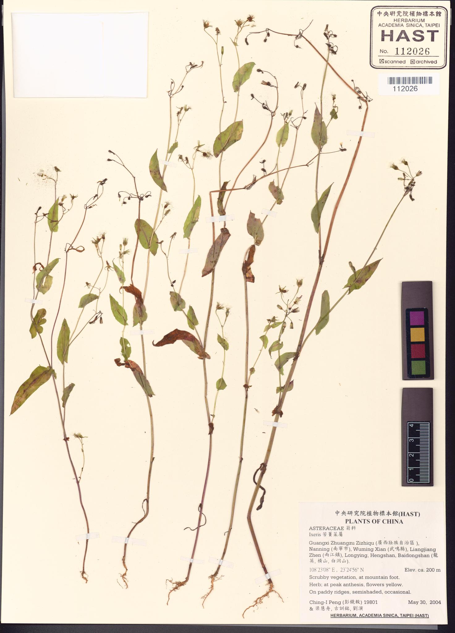 Sample image for viewer