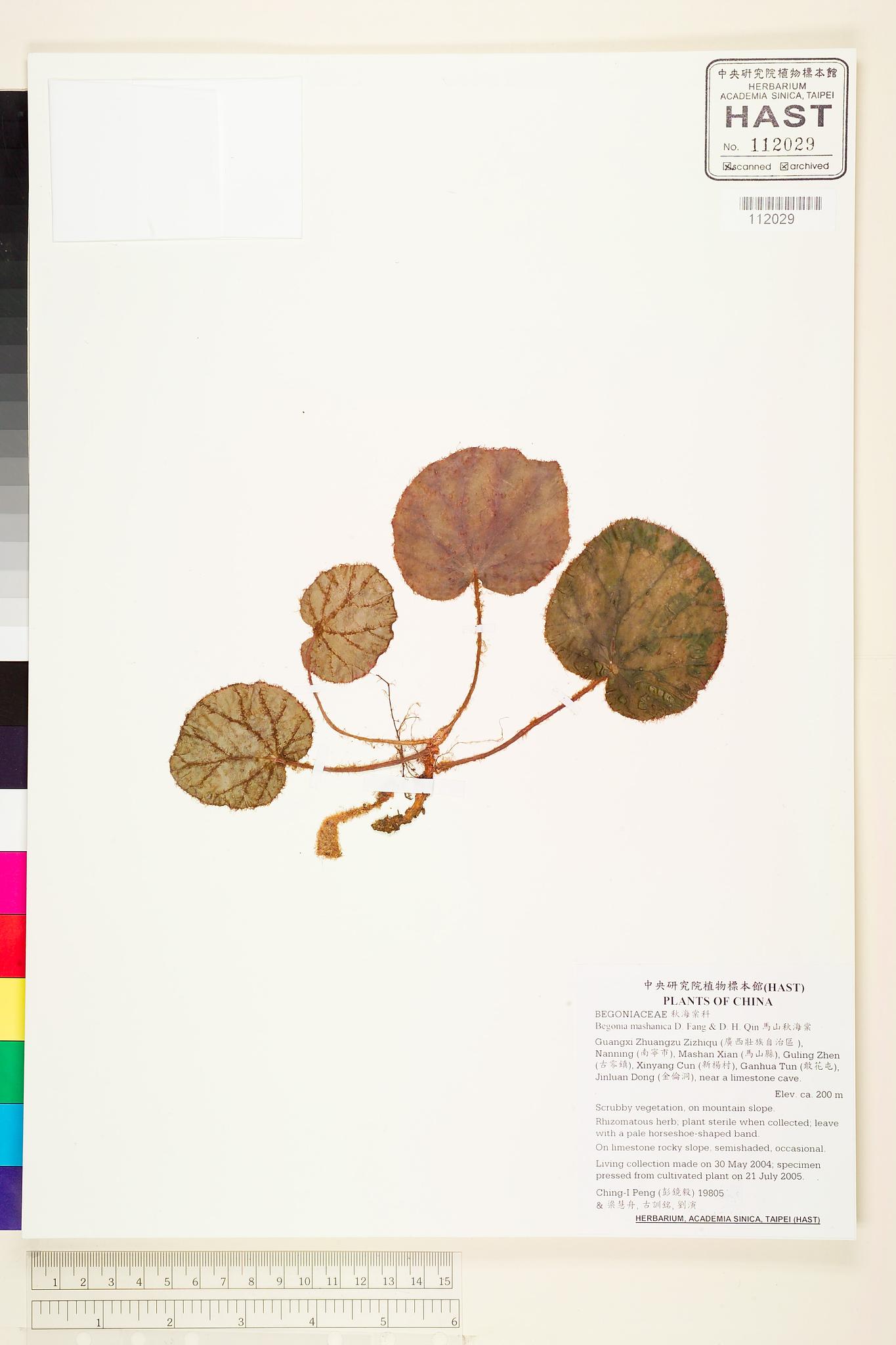 Sample image for viewer