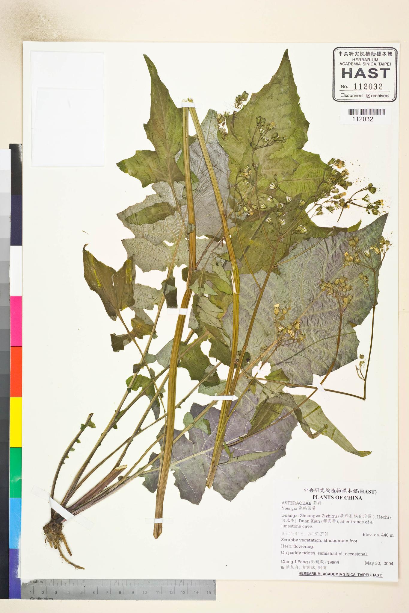 Sample image for viewer