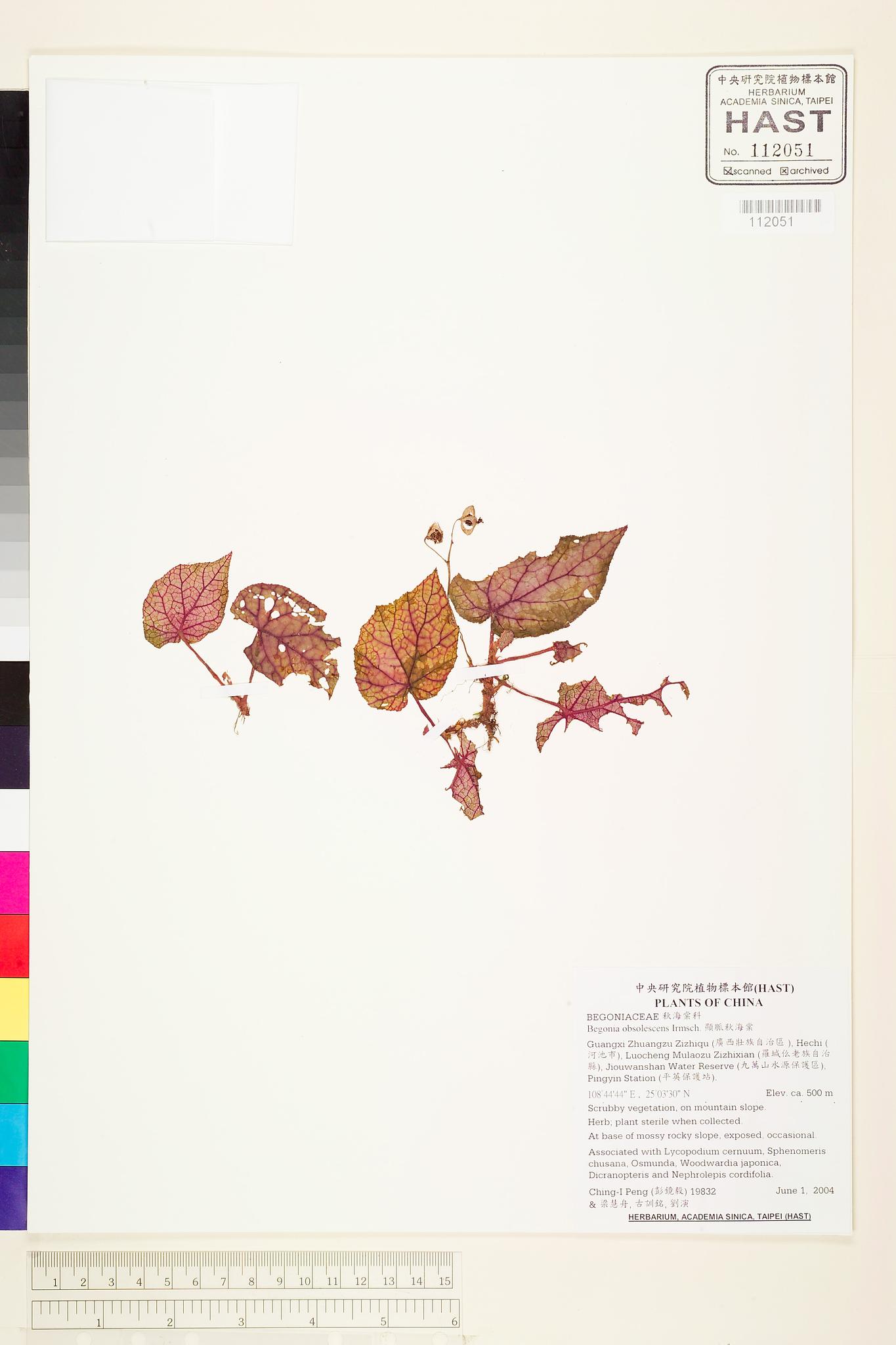 Specimen image