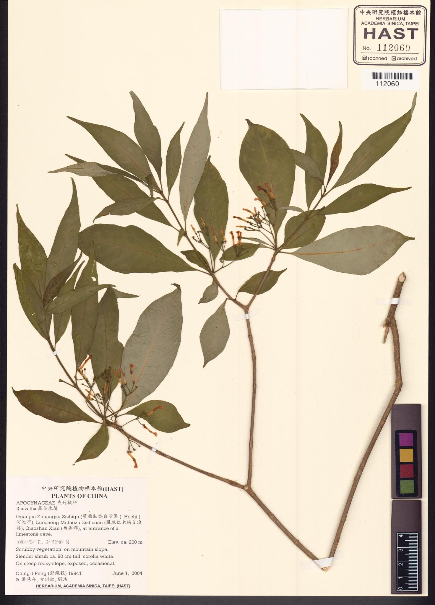 Sample image for viewer