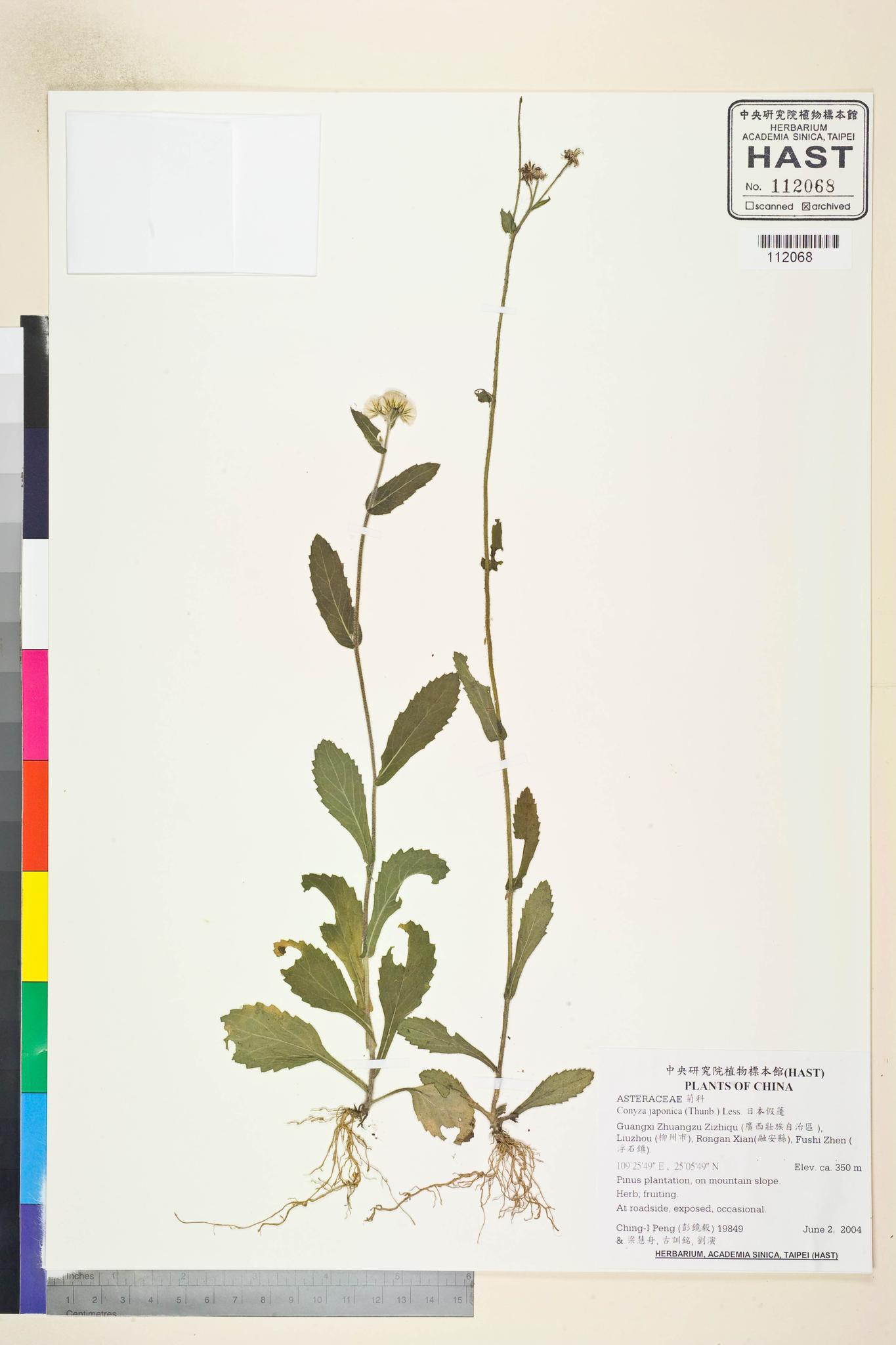 Sample image for viewer