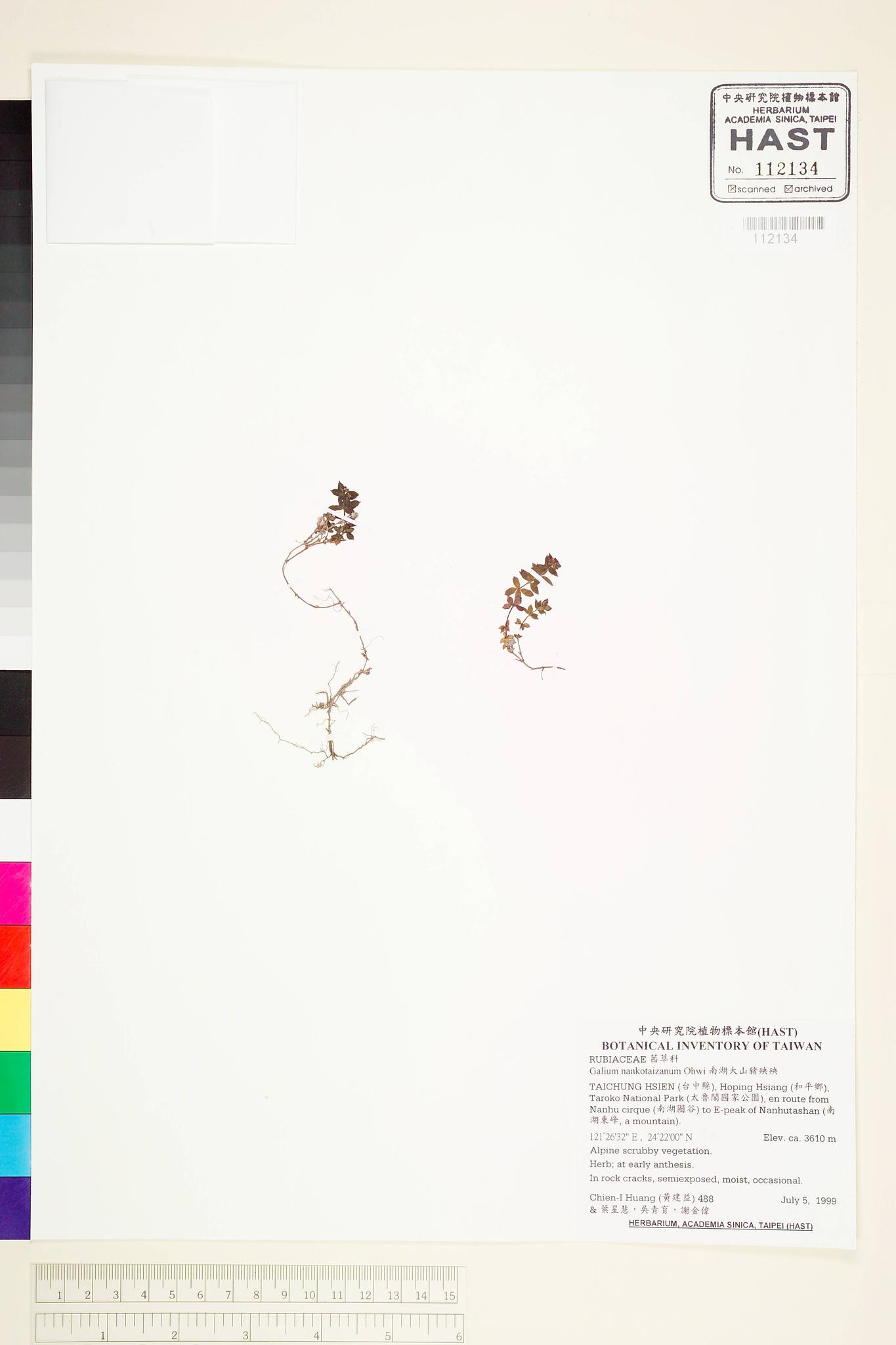 Sample image for viewer