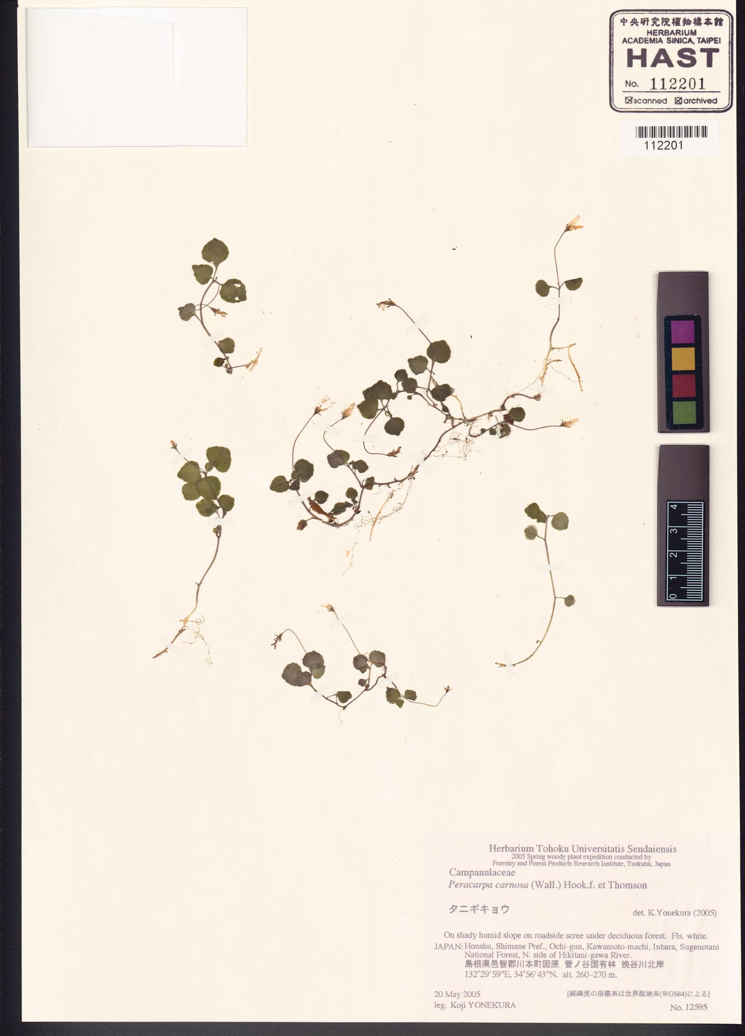 Sample image for viewer