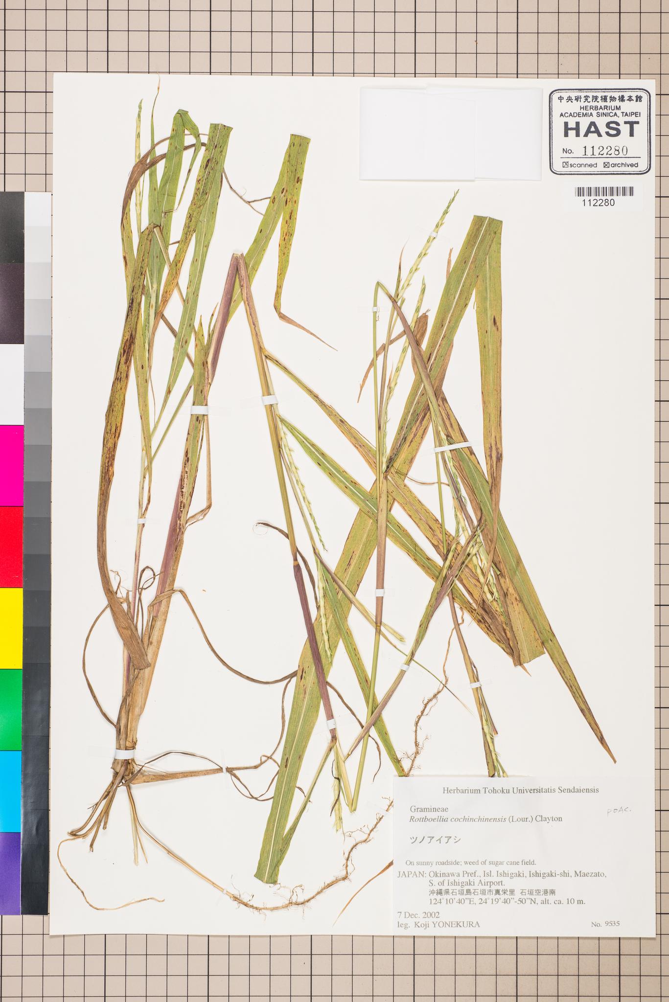 Specimen image