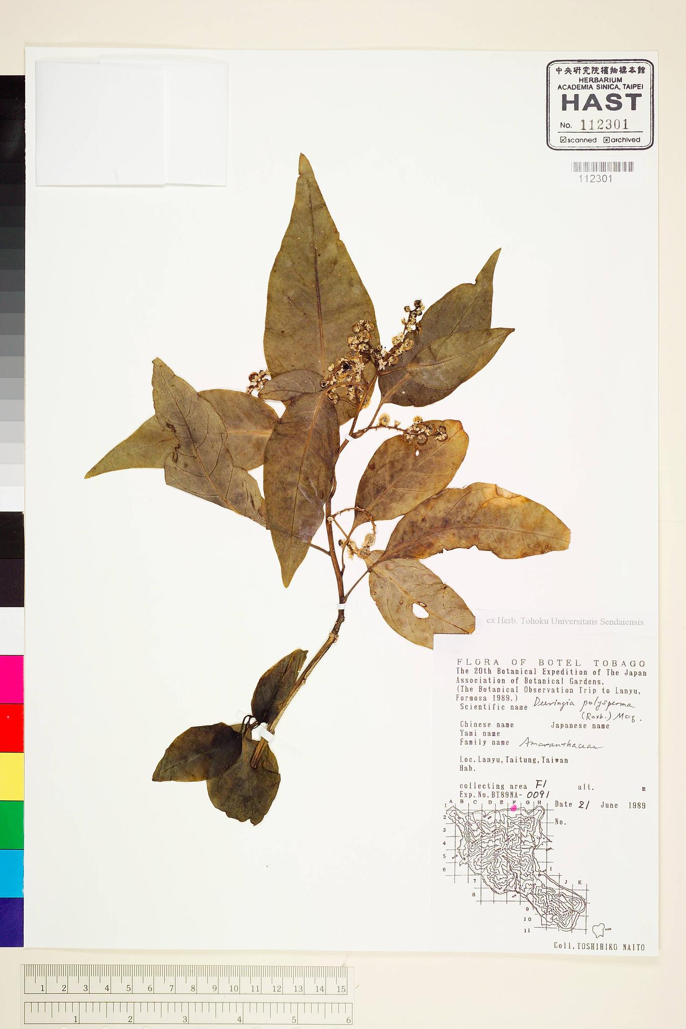 Sample image for viewer