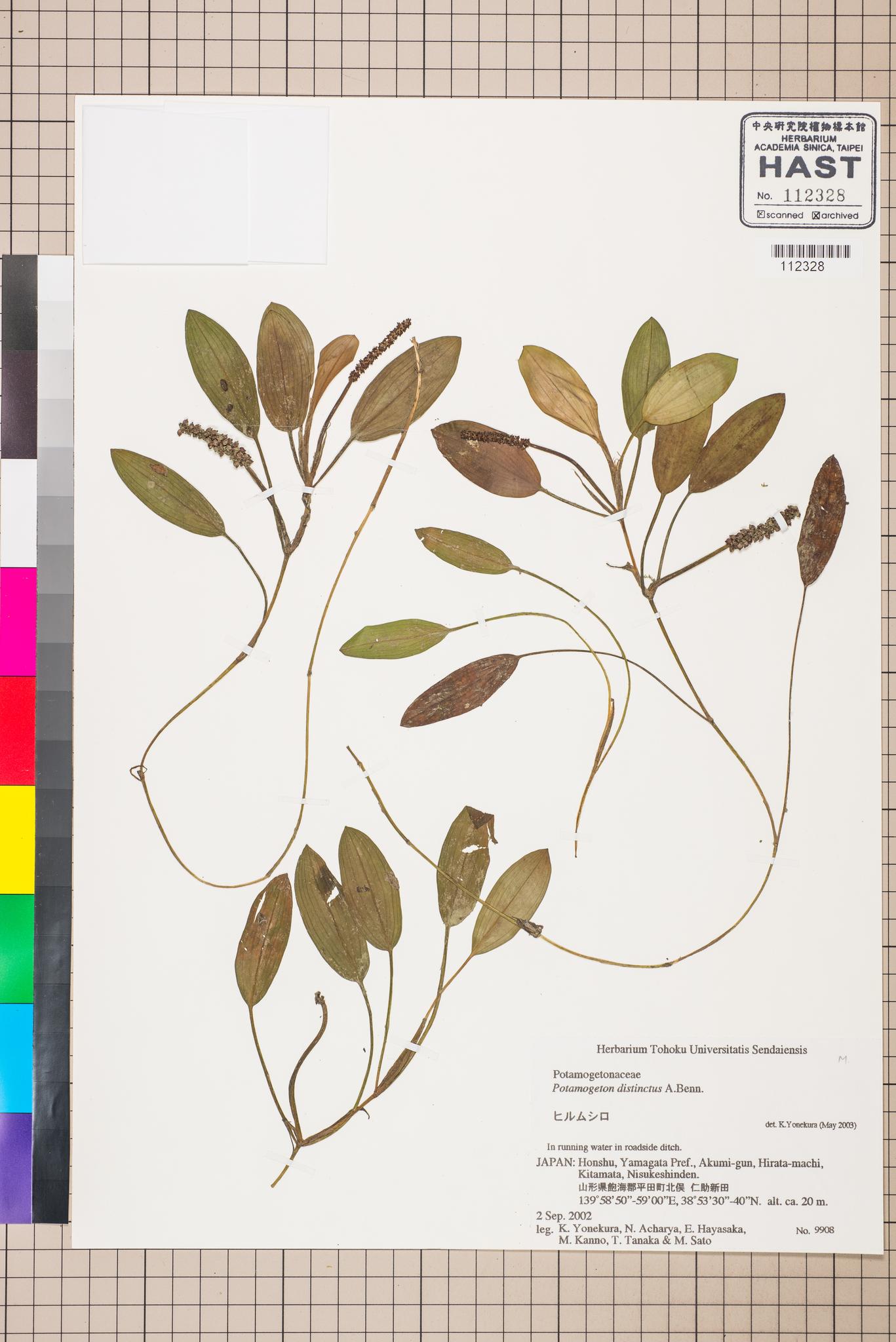 Sample image for viewer