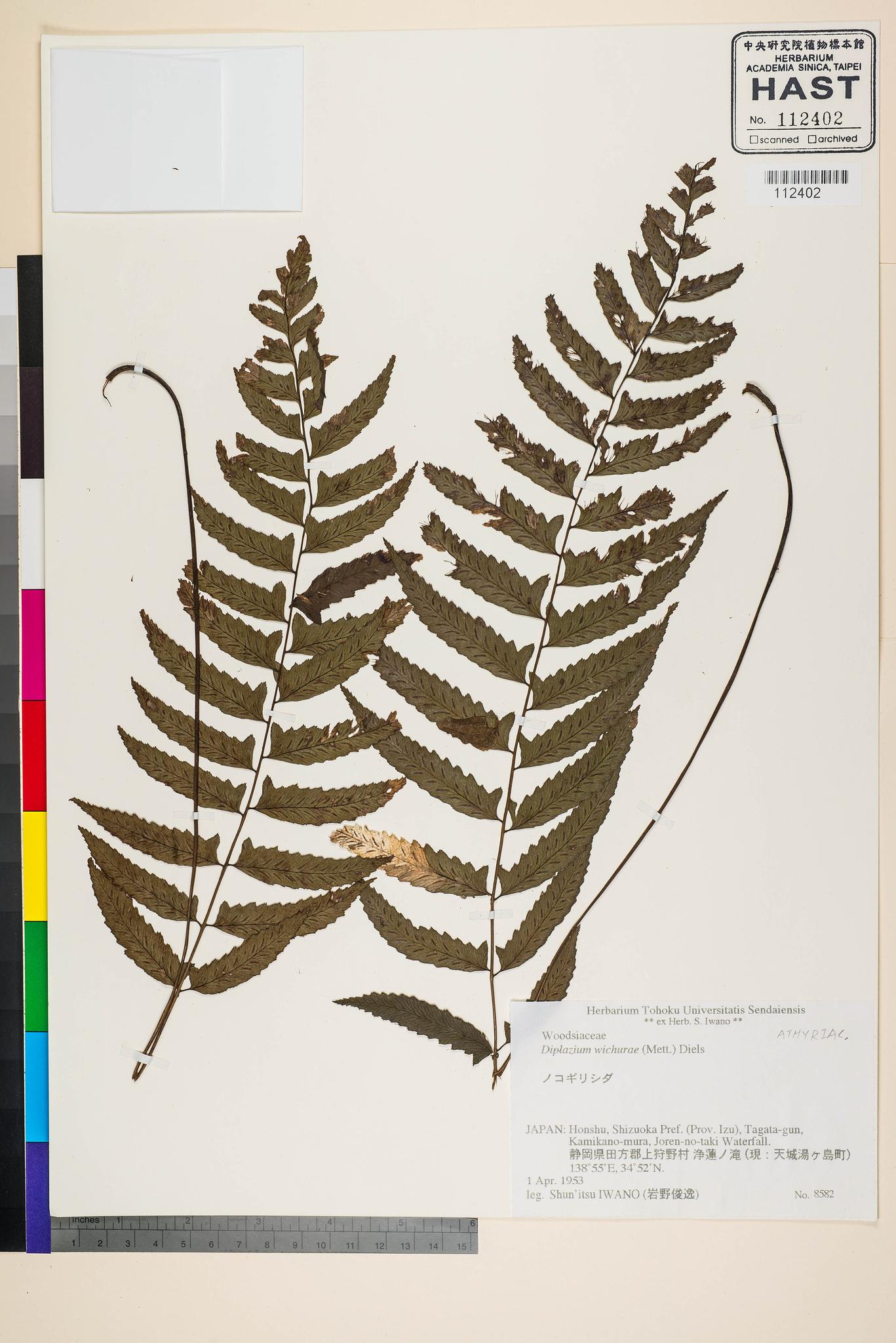 Sample image for viewer