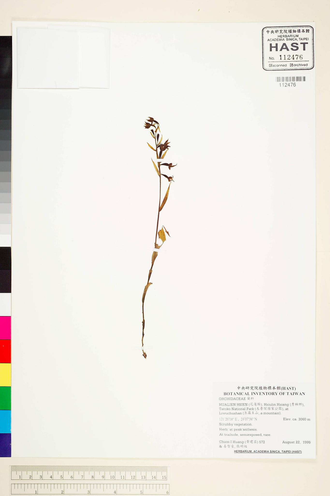 Sample image for viewer