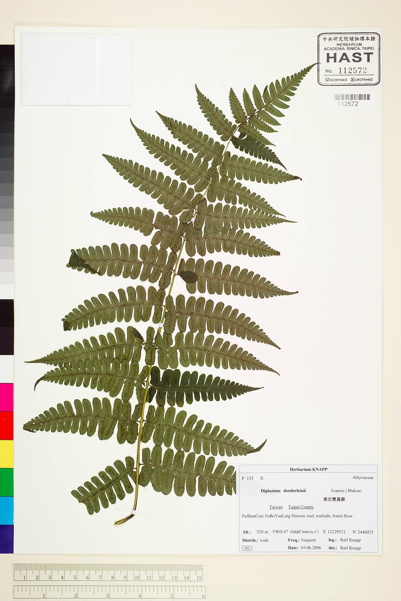 Sample image for viewer