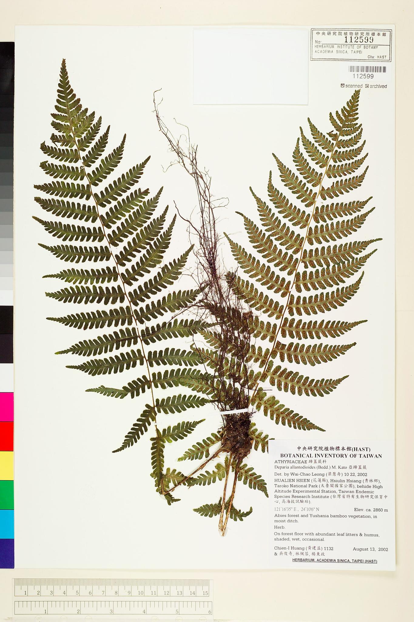 Sample image for viewer