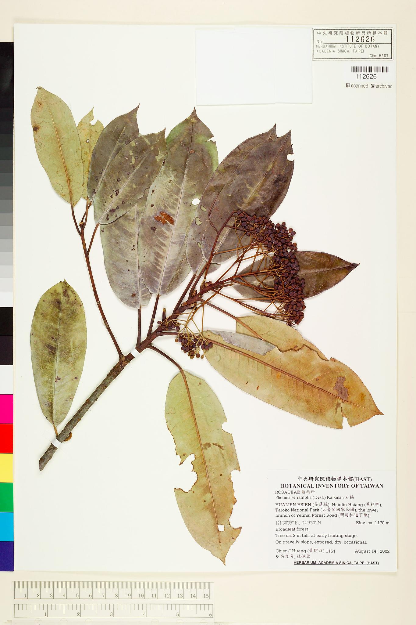 Sample image for viewer