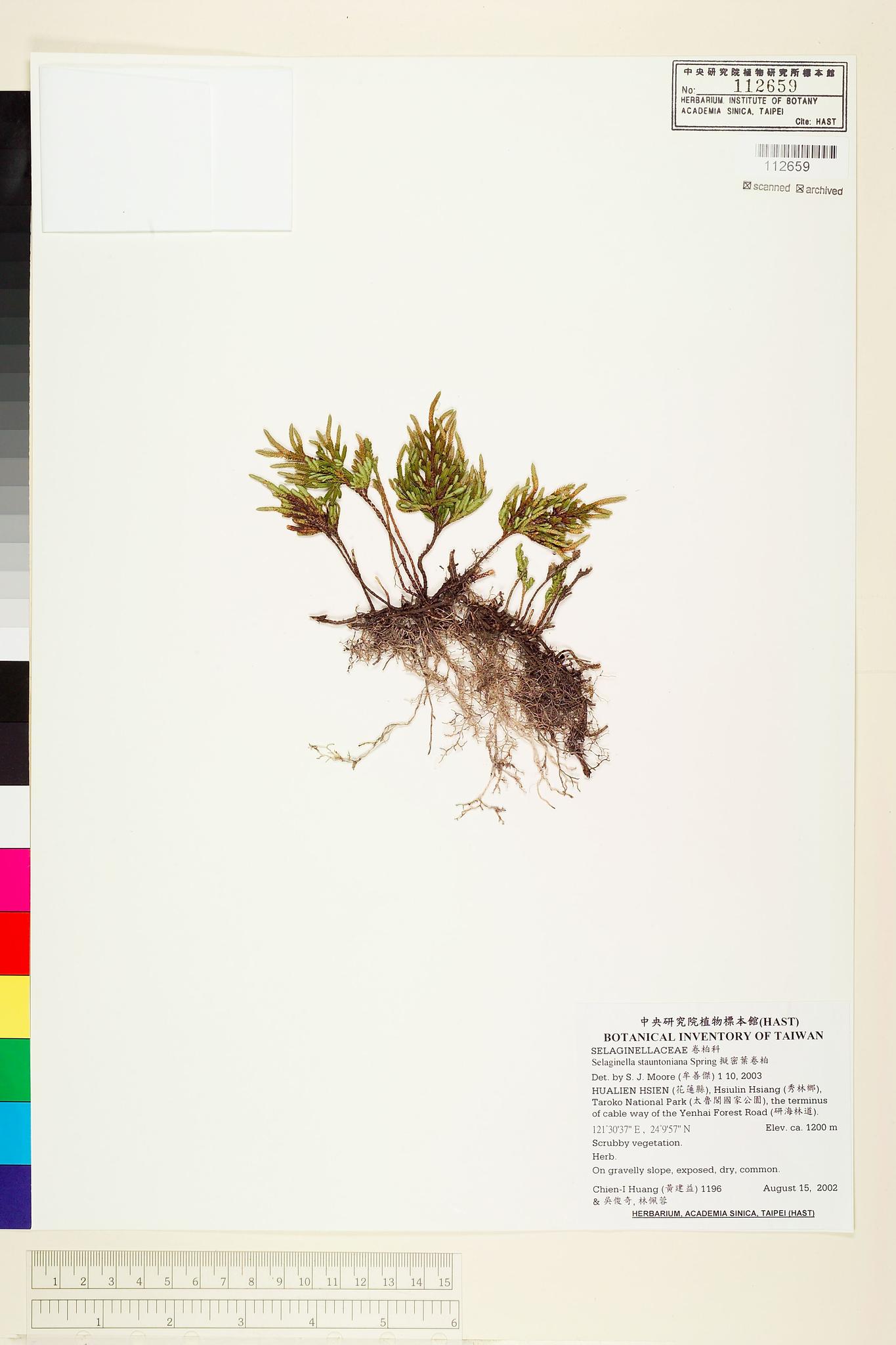 Sample image for viewer