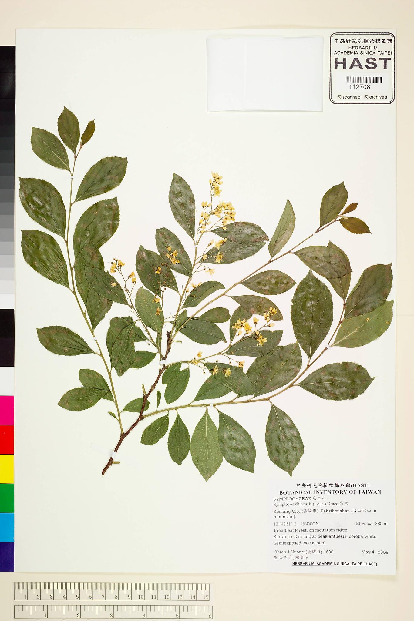 Sample image for viewer