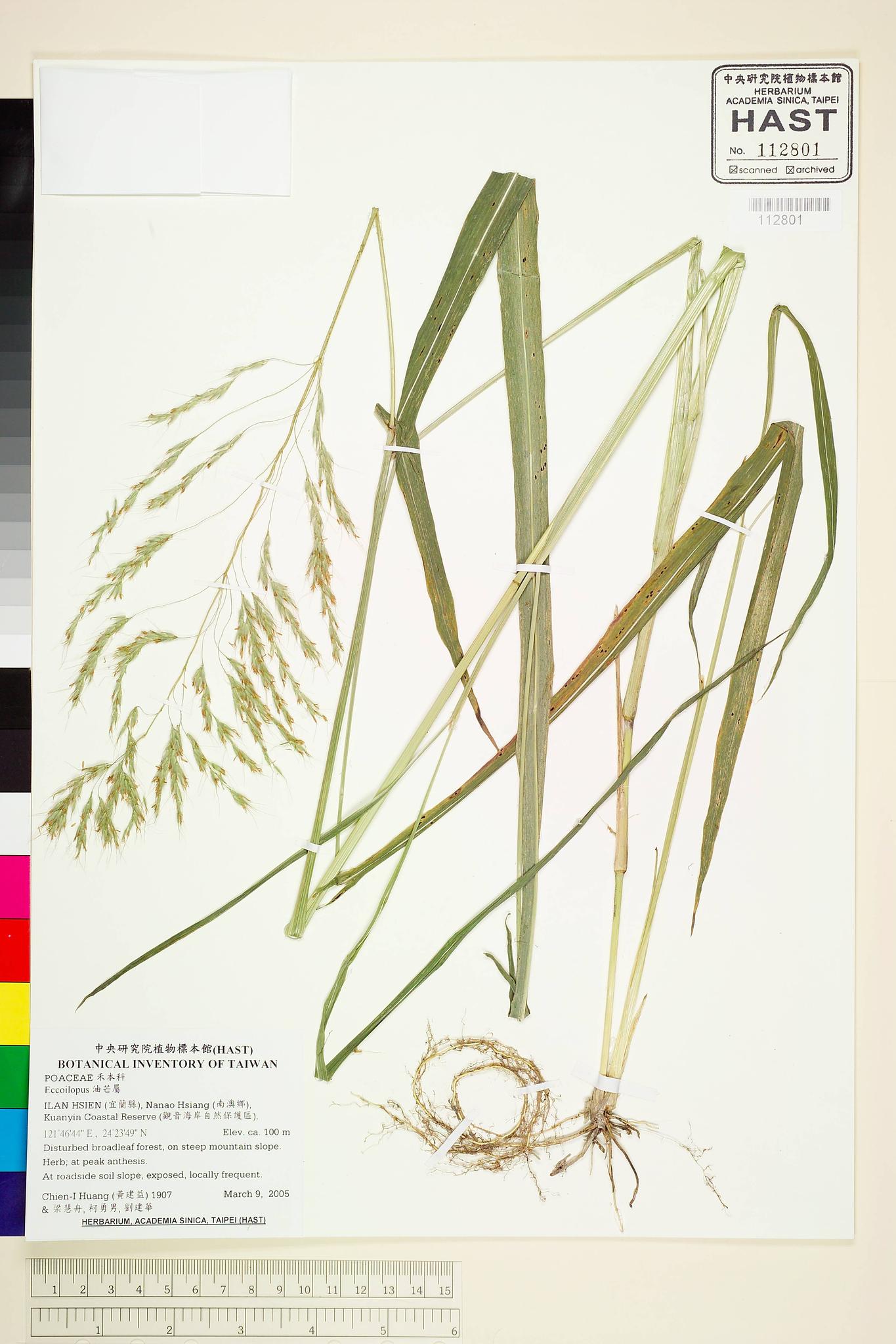 Sample image for viewer