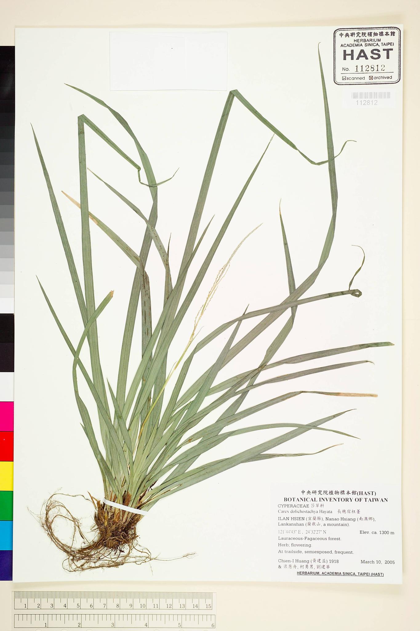 Sample image for viewer