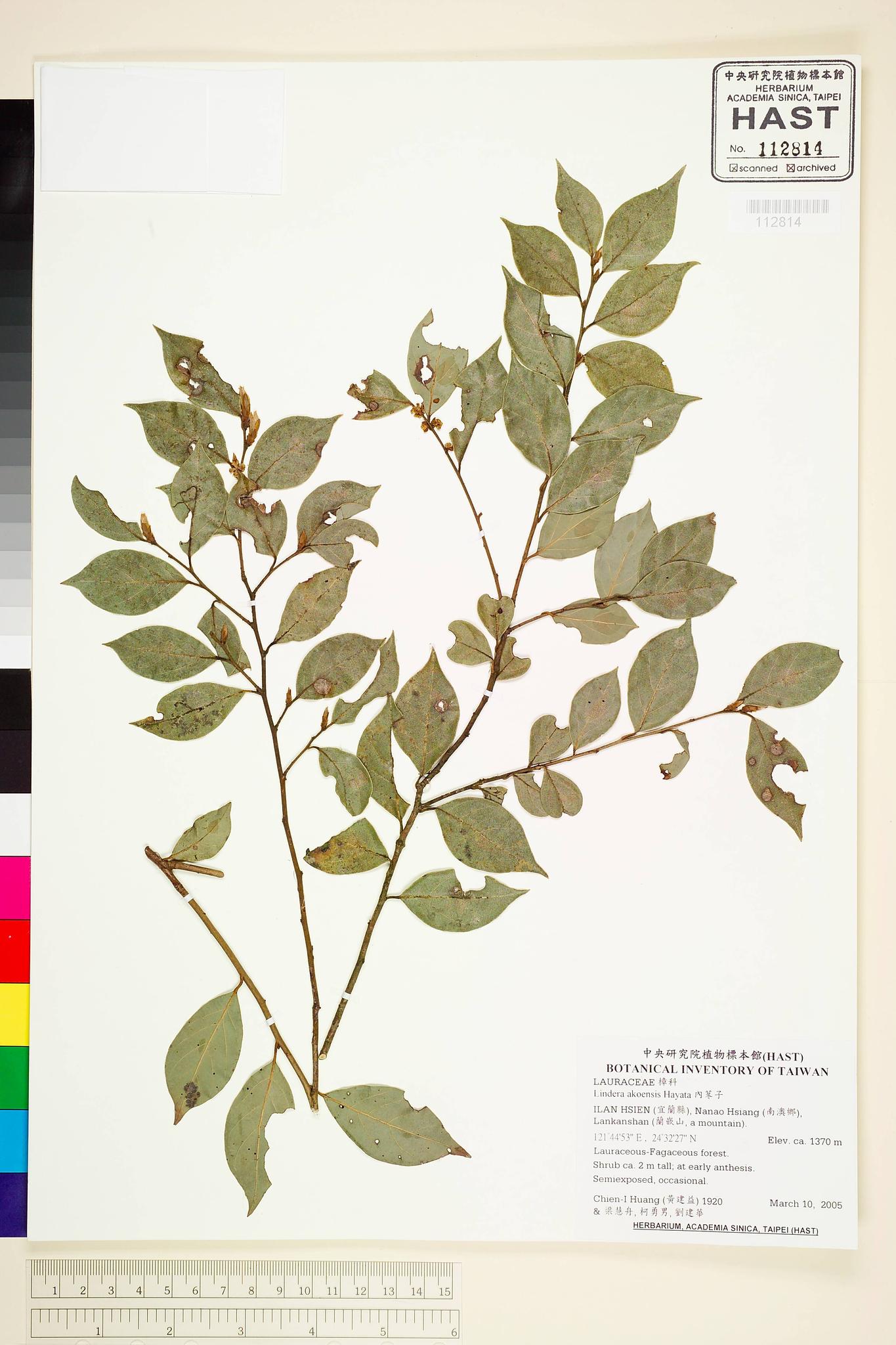 Sample image for viewer