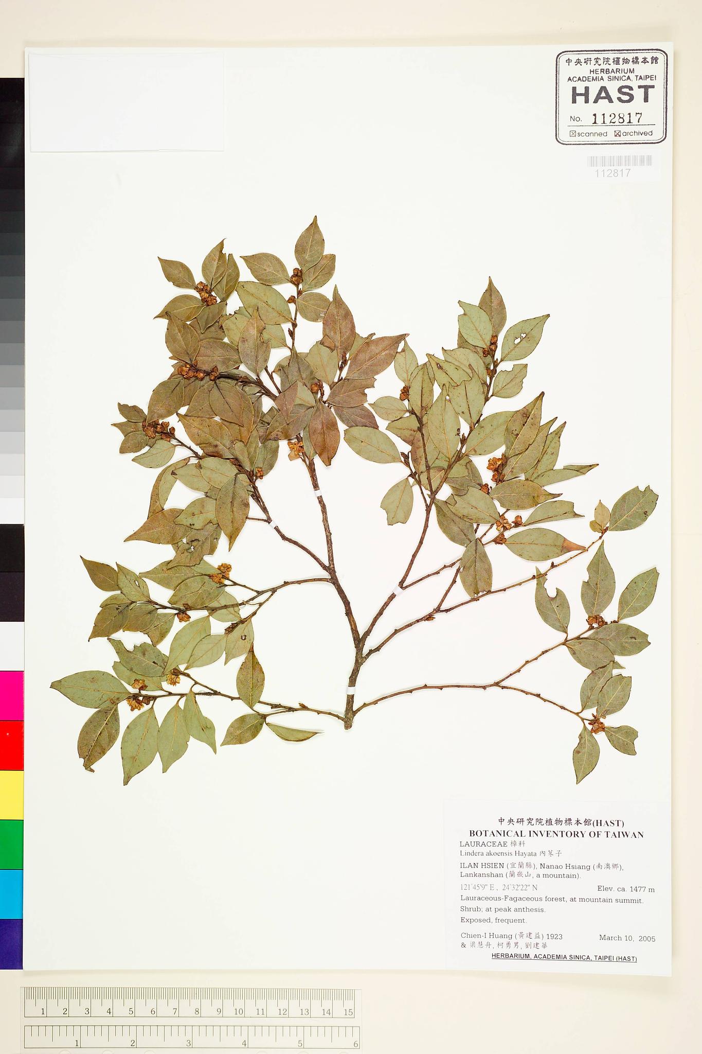 Specimen image
