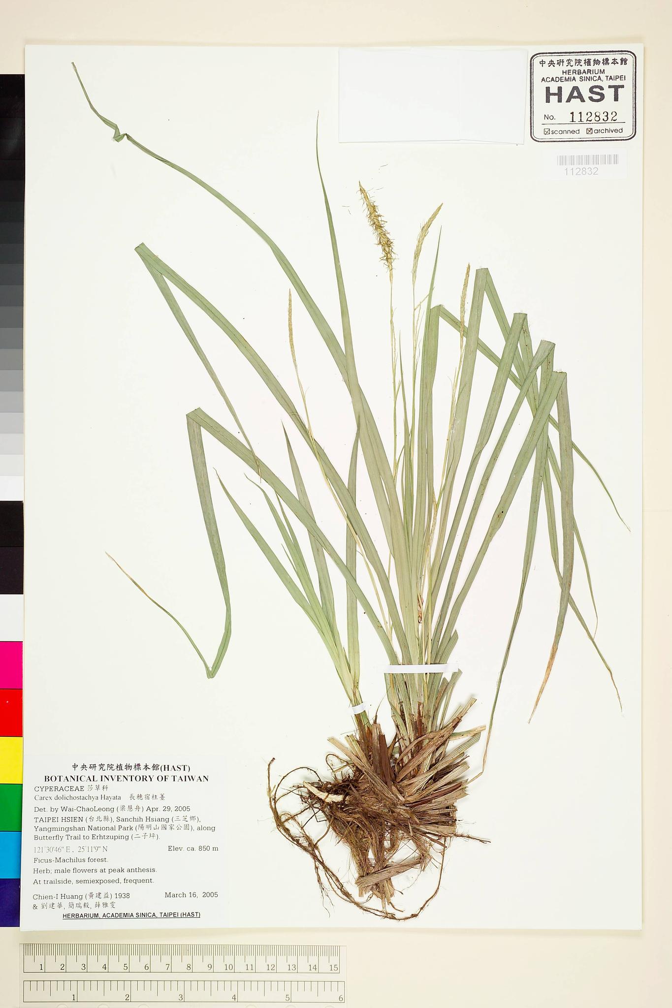 Sample image for viewer