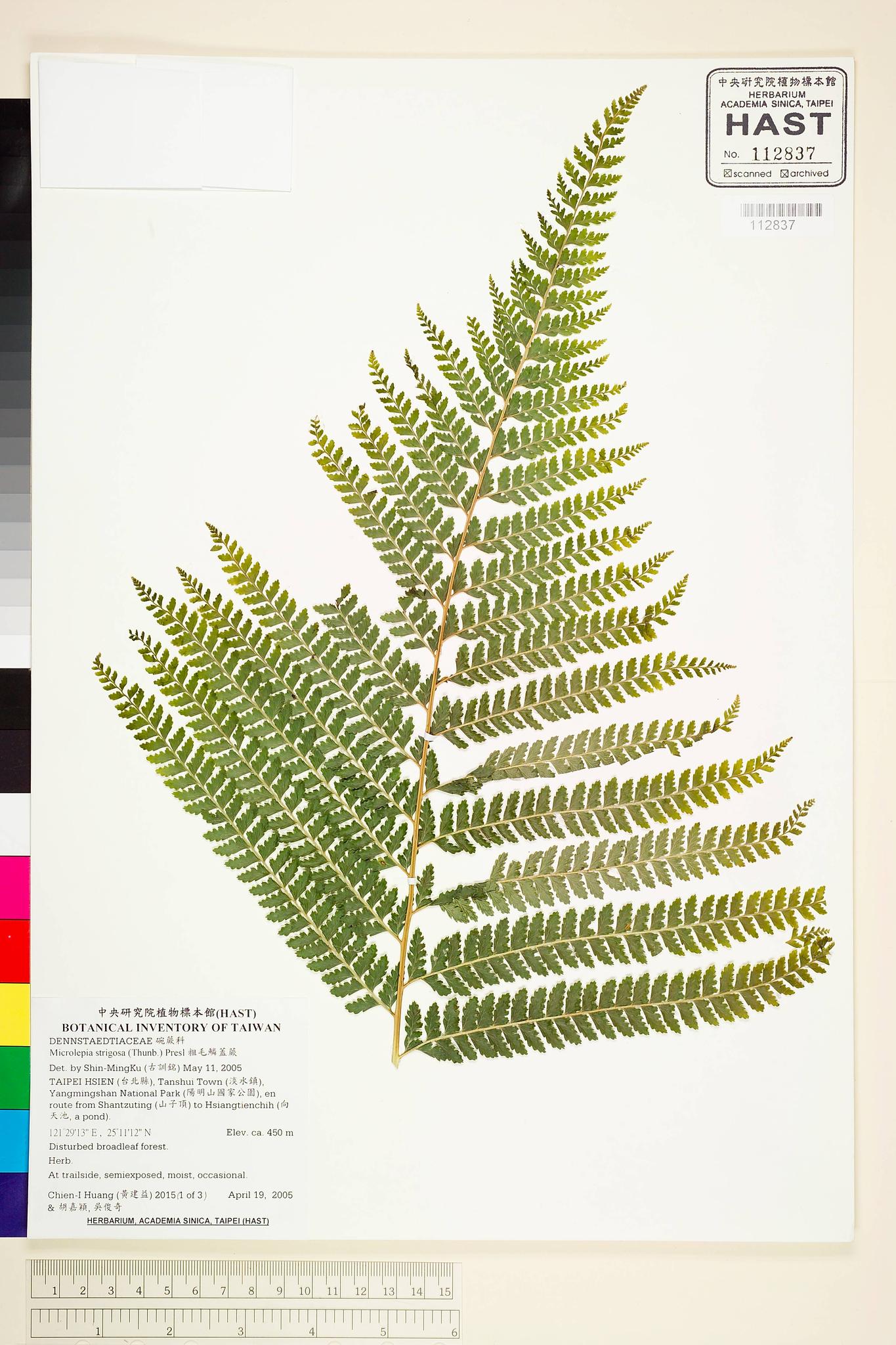 Sample image for viewer