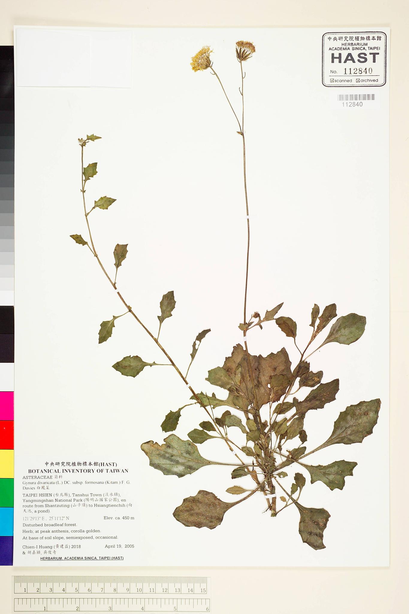 Sample image for viewer